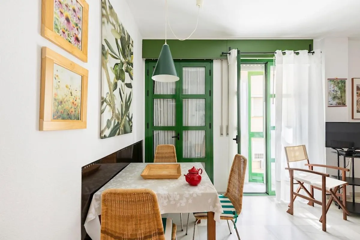 Nice Apartment Downtown Malaga Climate Controlled